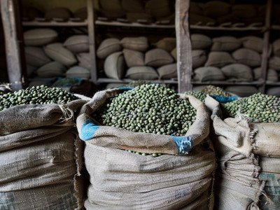 Easy Steps to Import Coffee from Africa to the UK